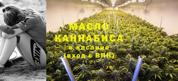 ГАЛЛЮЦИНОГЕННЫЕ ГРИБЫ Аркадак